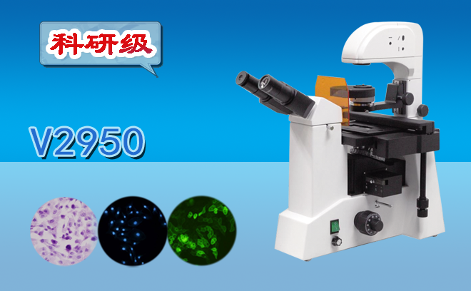 荧光手机在线免费看片.png 荧光手机在线免费看片.png