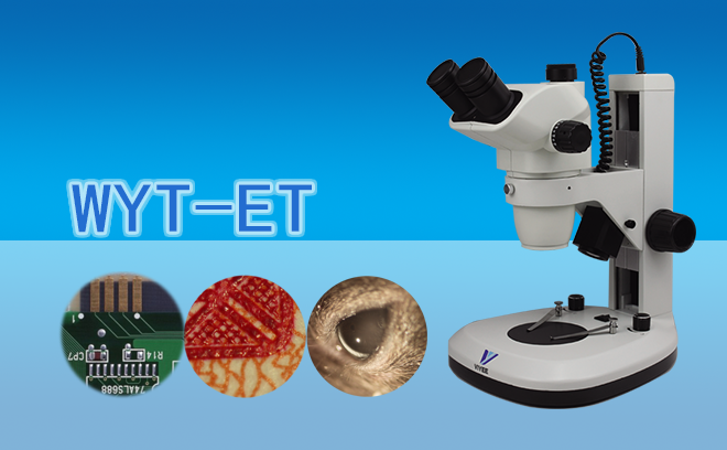 体视手机在线免费看片.png 体视手机在线免费看片.png